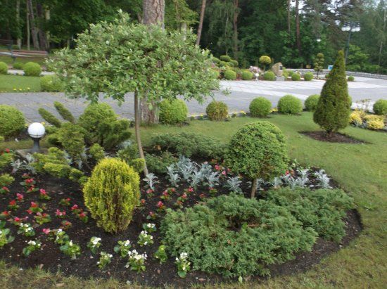 Park Wieloryba